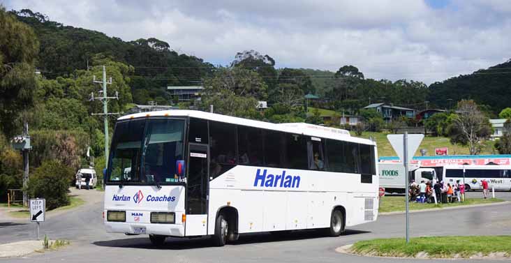 Harlan Coaches MAN Nambucca 7733AO